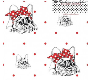 Jersey - Frl. von Julie französische Bulldogge Dots